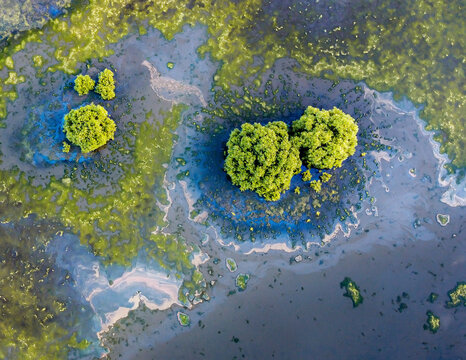 Aerial drone view of Geoff Skinner Wetlands in Wellington Point near Brisbane in Queensland Australia.