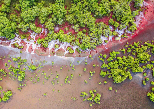 Aerial drone view of the Geoff Skinner Wetlands at Wellington Point at sunset, near Brisbane, in Queensland, Australia. The mangrove and the red and white sediments are mixed together like a painting.