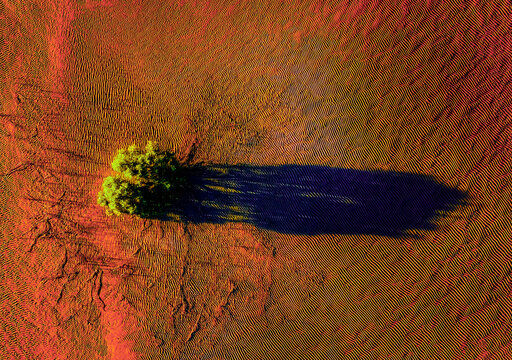 Aerial drone view of Kinka Beach in Emu Park at sunset, south of Yeppoon, in the region of Central Queensland in Australia.The sand is curly and tainted red. The mangrove tree shadow is stretched out.