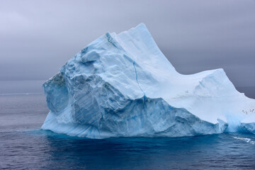 Blue iceberg floating in Antarctica