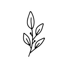 Vector leaves. Hand drawn herb elements. Vintage botanical illustrations.