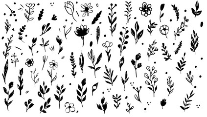 Doodle ink floral sketch set. Vector illustration black and white plant black and white nature. Graphic element decoration botanical abstract simple. Silhouette collection botany drawing