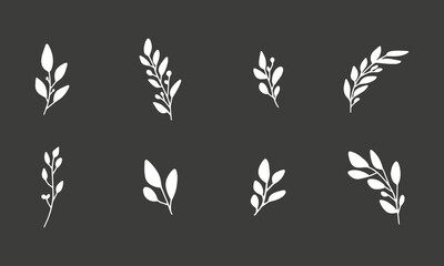 Vector branches and leaves. Hand drawn herb elements. Vintage botanical illustrations.