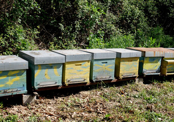 Colorful hives for bees exposed to sunlight in a natural area