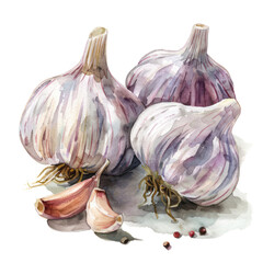 Obraz premium vegetable - Garlic is native to Central Asia and has been cultivated for thousands of years for both culinary and medicinal purposes.