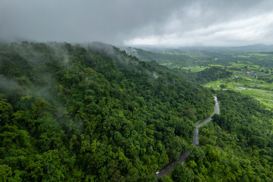 Aerial view of forested mountains and treetops, Malshej Ghat, Maharashtra, India.