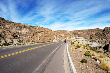 Landscape composed of Bicycle traveler passing through a section of route 5 in Bolivia near rock formations