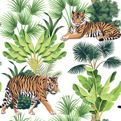Tiger, banana tree, tropical palm, plant floral seamless pattern white background. Exotic botanical jungle wallpaper.