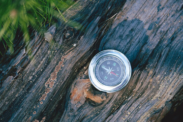 Compass on a tree trunk in the forest. Vintage style.