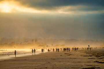 Beautiful beach at Coronado, sunset time - San Diego