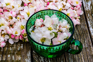 Green glass mug in apple blossoms, postcard.