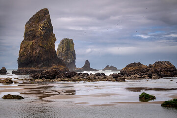 View of several large sea stacks in the ocean at Cannon Beach, Oregon. All sea stacks start out as part of nearby rock formations. Cannon Beach has many examples with haystack Rock as the most famous.