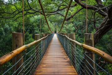 long wooden bridge in a green forest