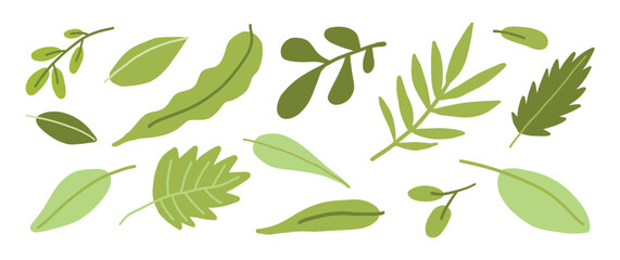 A collection of green leaves in various shapes and shades, illustrated in a flat design style, ideal for botanical and eco-themed projects.