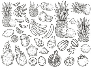 Diverse and exquisite hand-drawn collection of tropical fruits in black and white illustration, including pineapple, banana, lemon, pomegranate, avocado, kiwi, dragon fruit