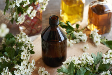 A dark bottle of herbal tincture with fresh hawthorn or Crataegus laevigata flowers in spring - 788716007