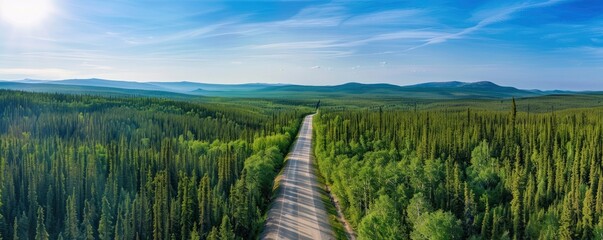 aerial view of a long road going through a forest with blue sky