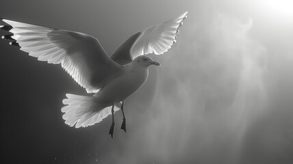   A black-and-white image of a white bird flying in the air with expansive wings