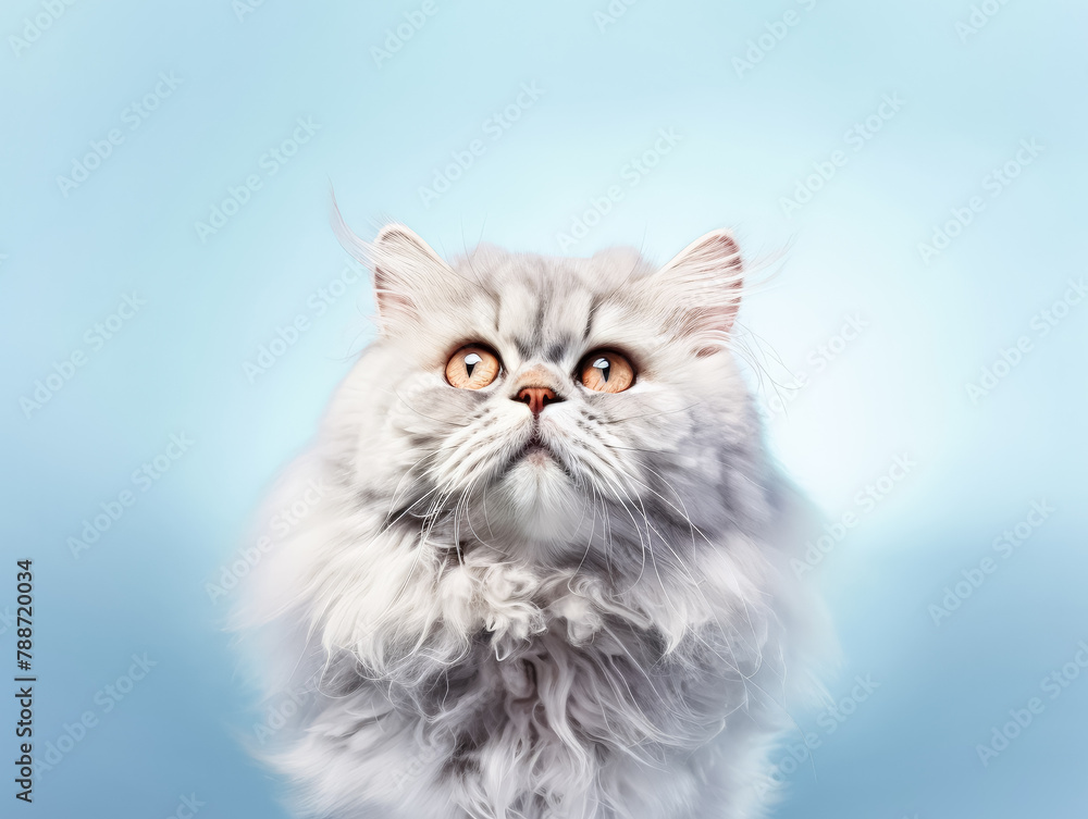 Poster a fluffy white cat sits on a blue background with clouds in the background. the cat has a very fluff