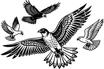 Hawk Osprey Falcon Pigeon Seagull flying in the sky vector silhouette 