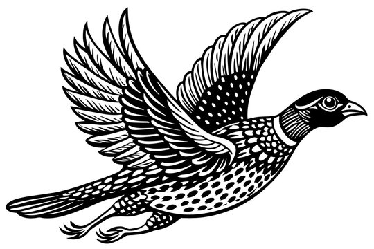 recommend clip art: Quail Roadrunner Grouse flying in the sky vector silhouette 
