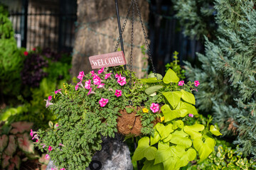 Welcome wooden sign in flower bed near trees. Entrance to a restaurant or summer cafe