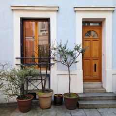 Decorative trees in pots stand in front of the house in early spring. Facade decorations of an old house. A house and a garden.