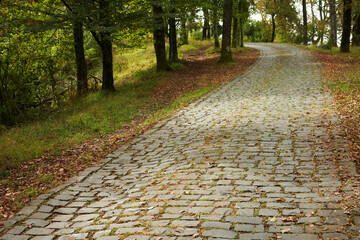 Panoramic view of a scenic pedestrian road with fallen leaves on paving stones in a mountainous area. Copy space.