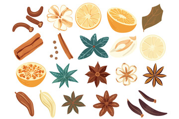 Exotic spice collection isolated vector style - obrazy, fototapety, plakaty