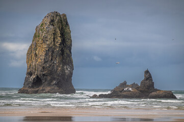 View of several large sea stacks in the ocean at Cannon Beach, Oregon. All sea stacks start out as...