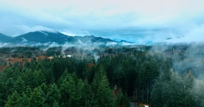 Flight above the tops of evergreen pine trees in the woods of Mount Rainer National Park, Washington State, the USA. Mist spreading above the valley. Mountains at backdrop.