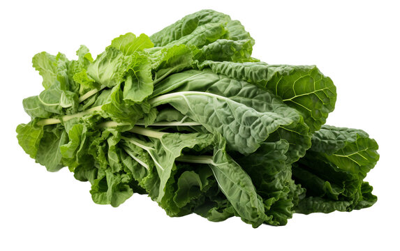 Collard Green against Clear Background