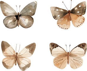 Set of butterflies. Watercolor vector illustration - 788751074