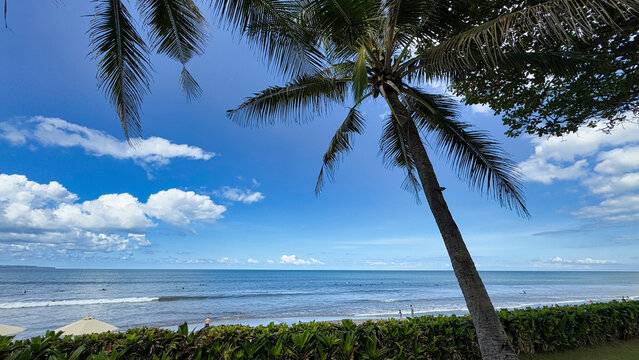 Bali beach with palm trees 야자수가 있는 발리 해변