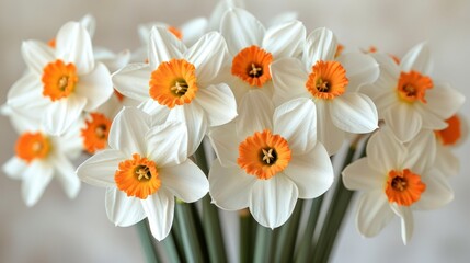   White and orange flowers populate a vase, their stems predominantly green
