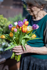 Elderly woman holding a colorful bouquet of tulips on a sunny day