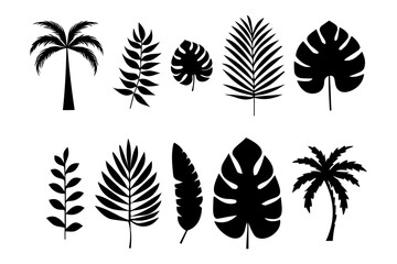 Fototapeta na wymiar Tropical Leaves in doodle style. Vector elements. silhouette of Exotic summer botanical. Monstera leaves, palm, banana leaf.