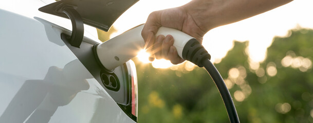 Man recharging battery for electric car during road trip travel EV car in natural forest or...