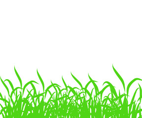 Green grass seamless border. Vector repeatable