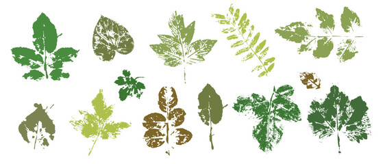 Prints, stamps of various leaves. Decorative botanical elements. Vector graphics.