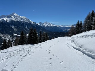 Wonderful winter hiking trails and traces after the winter snowfall above the tourist resorts of Valbella and Lenzerheide in the Swiss Alps - Canton of Grisons, Switzerland (Schweiz)