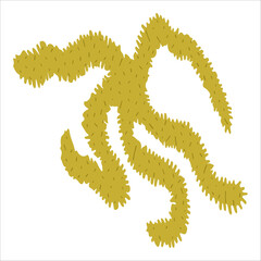 Vector illustration of a starfish in a bright cartoon style. An image of a realistic starfish texture, ideal for use in nautical themed projects.