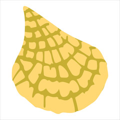 vector cartoon-style decorative seashells.tropical mollusk mineral formations, marine life shells, and colorful doodle ocean elements, all depicting underwater scenes.