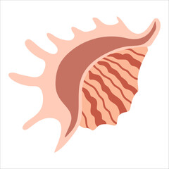 vector cartoon-style decorative seashells.tropical mollusk mineral formations, marine life shells, and colorful doodle ocean elements, all depicting underwater scenes.