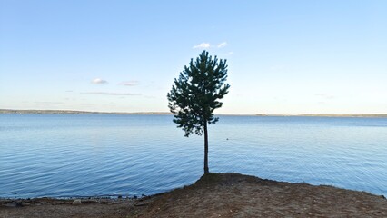 A pine tree grows on the shore of the lake, passing into a pebble beach. On the far shore is a...