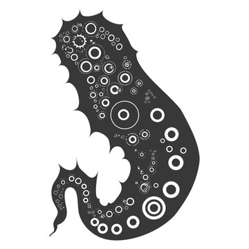 recommend clip art: Silhouette amoeba animal black color only