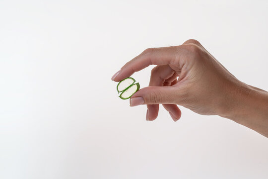 Aloe vera slice held delicately by fingers