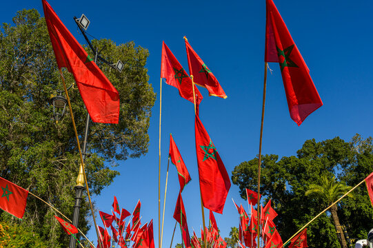 Vibrant Moroccan flags under a clear blue sky
