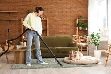 Pretty young woman using vacuum cleaner near cute Australian Shepherd dog at home