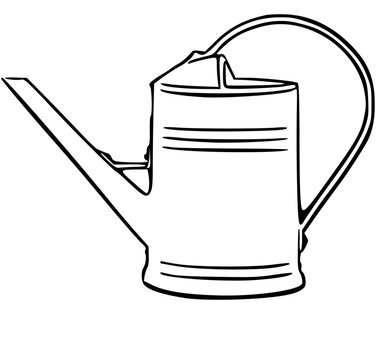 vector plantas regadera